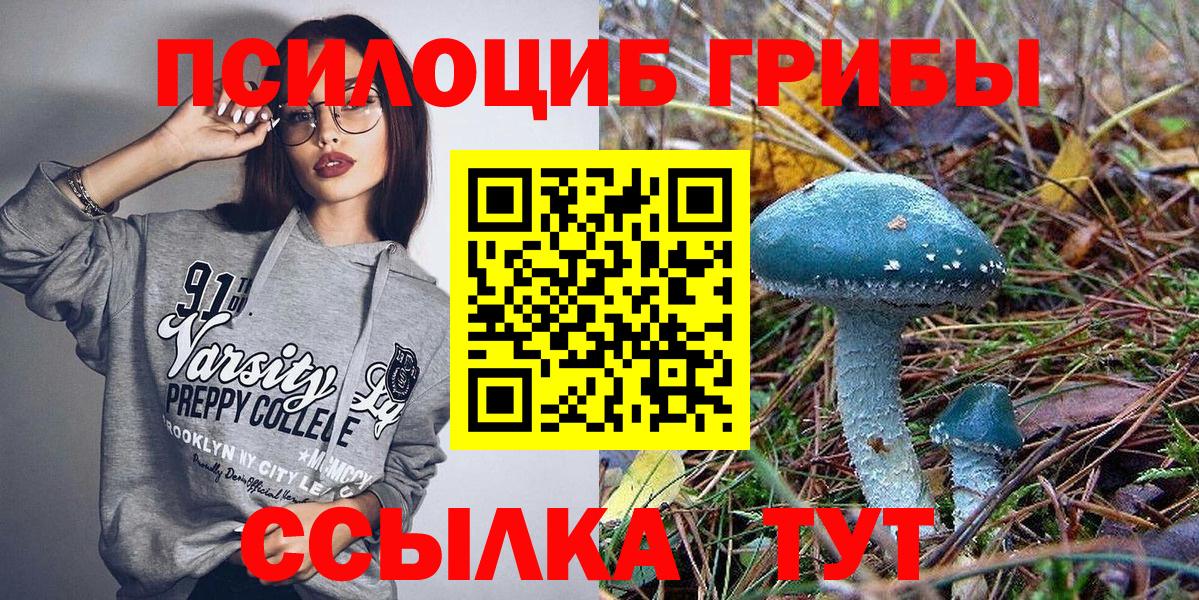 Галлюциногенные грибы Psilocybine cubensis  Вход с VPN  Галлюциногенные грибы Psilocybe  Балашов 