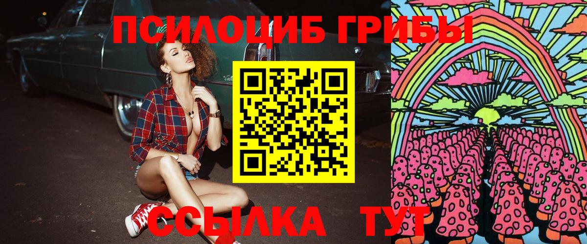 Галлюциногенные грибы прущие грибы Балашов